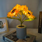🌻🔥 Offerta Speciale di Questa Settimana 49% - Prevendita per la Festa della Mamma 🔥🌻 Piccola luce notturna a led con simulazione di girasole