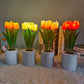 🌻🔥 Offerta Speciale di Questa Settimana 49% - Prevendita per la Festa della Mamma 🔥🌻 Piccola luce notturna a led con simulazione di girasole