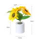 🌻🔥 Offerta Speciale di Questa Settimana 49% - Prevendita per la Festa della Mamma 🔥🌻 Piccola luce notturna a led con simulazione di girasole
