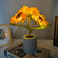 🌻🔥 Offerta Speciale di Questa Settimana 49% - Prevendita per la Festa della Mamma 🔥🌻 Piccola luce notturna a led con simulazione di girasole