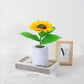 🌻🔥 Offerta Speciale di Questa Settimana 49% - Prevendita per la Festa della Mamma 🔥🌻 Piccola luce notturna a led con simulazione di girasole